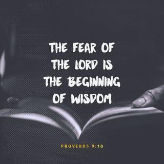 Proverbs 9:10 - The fear of the LORD is the beginning of wisdom,
And the knowledge of the Holy One is understanding.