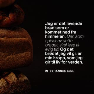 Johannes’ evangelium 6:46-51 - Ingen har noen gang sett Gud. Det er bare Jeg som kommer fra Gud, som har sett Gud. Det vil Jeg si til dere: Forfedrene deres spiste manna i ørkenen, og så døde de. Jeg er det levende brød, som kommer ned fra Himmelen. Hvis noen spiser av dette brødet, skal han leve evig. Brødet som Jeg skal gi dere, er Min egen kropp. Jeg vil gi den for at verden skal få liv.»