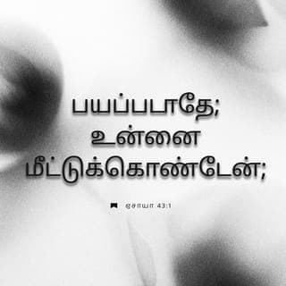 ஏசாயா 43:1-7 - இப்போதும் யாக்கோபே, உன்னைச் சிருஷ்டித்தவரும், இஸ்ரவேலே, உன்னை உருவாக்கினவருமாகிய கர்த்தர் சொல்லுகிறதாவது: பயப்படாதே; உன்னை மீட்டுக்கொண்டேன்; உன்னைப் பேர்சொல்லி அழைத்தேன்; நீ என்னுடையவன்.
நீ தண்ணீர்களைக் கடக்கும்போது நான் உன்னோடு இருப்பேன்; நீ ஆறுகளைக் கடக்கும்போது அவைகள் உன்மேல் புரளுவதில்லை; நீ அக்கினியில் நடக்கும்போது வேகாதிருப்பாய்; அக்கினிஜூவாலை உன்பேரில் பற்றாது.
நான் இஸ்ரவேலின் பரிசுத்தரும், உன் இரட்சகருமாயிருக்கிற உன் தேவனாகிய கர்த்தர்; உன்னை மீட்கும்பொருளாக எகிப்தையும், உனக்கு ஈடாக எத்தியோப்பியாவையும் சேபாவையும் கொடுத்தேன்.
நீ என் பார்வைக்கு அருமையானபடியினால் கனம்பெற்றாய்; நானும் உன்னைச் சிநேகித்தேன், ஆதலால் உனக்குப் பதிலாக மனுஷர்களையும், உன் ஜீவனுக்கு ஈடாக ஜனங்களையும் கொடுப்பேன்.
பயப்படாதே, நான் உன்னோடே இருக்கிறேன்; நான் உன் சந்ததியைக் கிழக்கிலிருந்து வரப்பண்ணி, உன்னை மேற்கிலும் இருந்து கூட்டிச்சேர்ப்பேன்.
நான் வடக்கை நோக்கி: கொடு என்றும், தெற்கை நோக்கி: வைத்திராதே என்றும் சொல்லி, தூரத்திலிருந்து என் குமாரரையும், பூமியின் கடையாந்தரத்திலிருந்து என் குமாரத்திகளையும்,
நான் என் மகிமைக்கென்று சிருஷ்டித்து உருவாக்கிப் படைத்து, என் நாமந்தரிக்கப்பட்ட யாவரையும் கொண்டுவா என்பேன்.