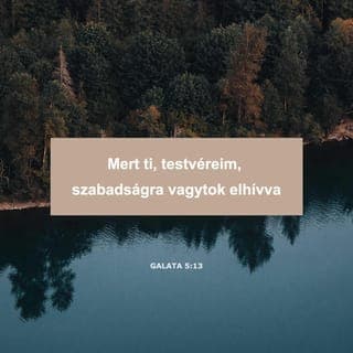 Pál levele a galatákhoz 5:13 - Testvéreim! Isten benneteket szabadságra hívott el! Csakhogy ezt a szabadságot ne a régi emberi természet kívánságainak kielégítésére használjátok, hanem inkább szeretettel szolgáljatok egymásnak!