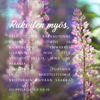 Kirje filippiläisille 1:9-10 - Rukoilen myös, että teidän rakkautenne kasvaisi ja tieto ja kaikenlainen ymmärrys lisääntyisi, niin että voisitte tutkia, mikä on parasta, ja olisitte puhtaita ja moitteettomia Kristuksen päivään saakka