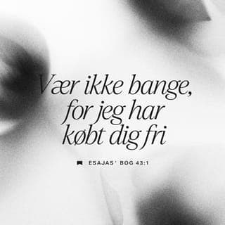 Esajasʼ Bog 43:1-5 - Israels folk, Herren, som skabte dig, siger nu til dig: „Vær ikke bange, for jeg har købt dig fri! Jeg kalder dig ved navn – du er min! Når du går gennem fortvivlelsens dybe vande, er jeg med dig. Når modgangen skyller ind over dig, skal du ikke drukne i sorg. Når du går gennem prøvelsens ild, skal du ikke brænde op, for flammerne vil ikke skade dig. Jeg er Herren, din Frelser, Israels hellige Gud! Jeg giver Egypten, Kush og Seba i løsesum, så du kan få din frihed. Fordi du er dyrebar for mig, agtet og elsket, giver jeg andre folkeslag i bytte for at redde dig. Vær ikke bange, for jeg er med dig! Jeg samler dig sammen fra øst og vest