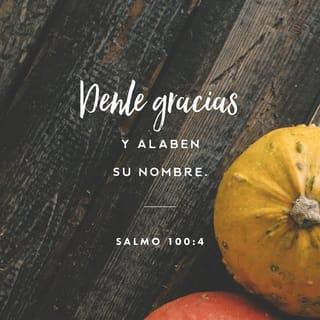 SALMOS 100:3-5 - Reconoced que Jehová es Dios;
Él nos hizo, y no nosotros a nosotros mismos;
Pueblo suyo somos, y ovejas de su prado.
Entrad por sus puertas con acción de gracias,
Por sus atrios con alabanza;
Alabadle, bendecid su nombre.
Porque Jehová es bueno; para siempre es su misericordia,
Y su verdad por todas las generaciones.