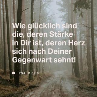 Psalms 84:5-8 - Blessed are those whose strength is in you,
whose hearts are set on pilgrimage.
As they pass through the Valley of Baka,
they make it a place of springs;
the autumn rains also cover it with pools.
They go from strength to strength,
till each appears before God in Zion.
Hear my prayer, LORD God Almighty;
listen to me, God of Jacob.