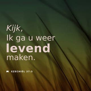 Ezechiël 37:4-5 - Ik zei: "Heer, alleen U weet dat." Toen zei Hij tegen mij: "Profeteer tegen deze botten: Luister, verdroogde botten, naar wat de Heer zegt. Dit zegt de Heer tegen jullie: Ik blaas weer leven in jullie. Ik maak jullie weer levend.