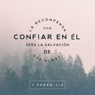 1 PEDRO 1:7-11 - para que sometida a prueba vuestra fe, mucho más preciosa que el oro, el cual aunque perecedero se prueba con fuego, sea hallada en alabanza, gloria y honra cuando sea manifestado Jesucristo, a quien amáis sin haberle visto, en quien creyendo, aunque ahora no lo veáis, os alegráis con gozo inefable y glorioso; obteniendo el fin de vuestra fe, que es la salvación de vuestras almas.
Los profetas que profetizaron de la gracia destinada a vosotros, inquirieron y diligentemente indagaron acerca de esta salvación, escudriñando qué persona y qué tiempo indicaba el Espíritu de Cristo que estaba en ellos, el cual anunciaba de antemano los sufrimientos de Cristo, y las glorias que vendrían tras ellos.