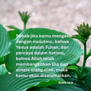 Roma 10:9-10 - Sebab jika kamu mengaku dengan mulutmu, bahwa Yesus adalah Tuhan, dan percaya dalam hatimu, bahwa Allah telah membangkitkan Dia dari antara orang mati, maka kamu akan diselamatkan. Karena dengan hati orang percaya dan dibenarkan, dan dengan mulut orang mengaku dan diselamatkan.
