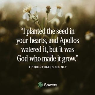 1 Corinthians 3:5-11 - After all, who is Apollos? Who is Paul? We are only God’s servants through whom you believed the Good News. Each of us did the work the Lord gave us. I planted the seed in your hearts, and Apollos watered it, but it was God who made it grow. It’s not important who does the planting, or who does the watering. What’s important is that God makes the seed grow. The one who plants and the one who waters work together with the same purpose. And both will be rewarded for their own hard work. For we are both God’s workers. And you are God’s field. You are God’s building.
Because of God’s grace to me, I have laid the foundation like an expert builder. Now others are building on it. But whoever is building on this foundation must be very careful. For no one can lay any foundation other than the one we already have—Jesus Christ.