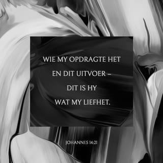 Johannes 14:21 - As julle weet wat Ek wil hê julle moet doen, en julle doen dit, dan wys julle dat julle lief is vir My. As julle lief is vir My, dan sal my Vader ook lief wees vir julle. Dan sal Ek ook lief wees vir julle en Ek sal vir julle wys wie Ek is.”