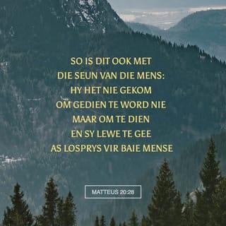 MATTEUS 20:28 AFR83 Afrikaans 1983