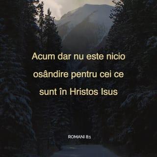 Romani 8:1 VDC