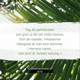 Johannesevangeliet 12:13 - tog de palmkvistar och gick ut för att möta honom. Och de ropade: » Hosianna! Välsignad är han som kommer i Herrens namn , han som är Israels konung.«