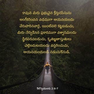 కొలొస్సీ పత్రిక 2:6-7 - కాబట్టి, మీరు క్రీస్తు యేసును ప్రభువుగా అంగీకరించినట్టుగా, ఆయనలో వేరుపారి బలపడుతూ, మీకు బోధించబడిన ప్రకారం విశ్వాసంలో స్థిరపడుతూ, మరి ఎక్కువగా కృతజ్ఞతాస్తుతులను చెల్లిస్తూ, ఆయనలో మీరు జీవించడం కొనసాగించండి.