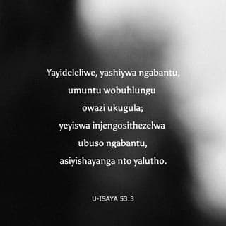 U-Isaya 53:2-5 - Ngokuba yakhula njengehlumela phambi kwakhe,
nanjengempande emhlabathini owomileyo;
yayingenasimo nabuhle ukuba siyibuke,
yayingabukeki ukuba siyifune.
Yayideleliwe, yashiywa ngabantu,
umuntu wobuhlungu owazi ukugula;
yeyiswa injengosithezelwa ubuso ngabantu,
asiyishayanga nto yalutho.
Kepha yazithwala izifo zethu,
yabetshatha ubuhlungu bethu,
kodwa thina sathi ijezisiwe,
ishaywe nguNkulunkulu, ihlushiwe.
Yebo, yalinyazwa ngenxa yeziphambeko zethu,
yachotshozwa ngobubi bethu;
isijeziso sasiphezu kwayo ukuba sibe nokuthula,
nangemivimbo yayo siphilisiwe thina.