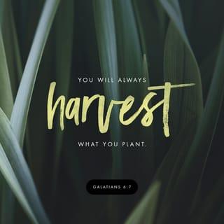 Galatians 6:7-8 - Do not deceive yourselves; no one makes a fool of God. People will reap exactly what they sow. If they sow in the field of their natural desires, from it they will gather the harvest of death; if they sow in the field of the Spirit, from the Spirit they will gather the harvest of eternal life.