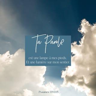 Psaumes 119:105 - Ta parole est comme une lampe ╵qui guide tous mes pas,
elle est une lumière ╵éclairant mon chemin.