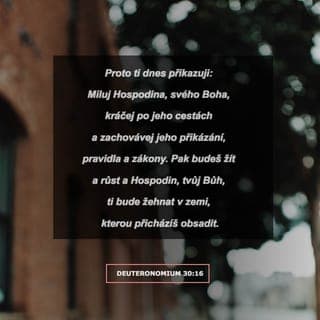 Deuteronomium 30:16 - To ti dnes přikazuji, abys miloval Hospodina, svého Boha, chodil po jeho cestách a zachovával jeho příkazy, ustanovení a nařízení. Tak zůstaneš naživu, rozmnožíš se a Hospodin, tvůj Bůh, ti požehná v zemi, do které jdeš, abys ji obsadil.