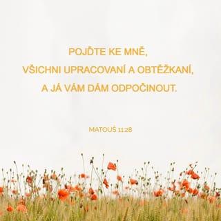 Matouš 11:27-30 - Všechno je mi dáno od mého Otce a nikdo nezná Syna, jedině Otec, a ani Otce nikdo nezná, jedině Syn a ten, komu by ho Syn chtěl zjevit.
Pojďte ke mně, všichni upracovaní a obtěžkaní, a já vám dám odpočinout. Vezměte na sebe mé jho a učte se ode mě, neboť jsem mírný a pokorný v srdci, a vaše duše najdou odpočinutí. Mé jho je totiž příjemné a mé břemeno lehké.“