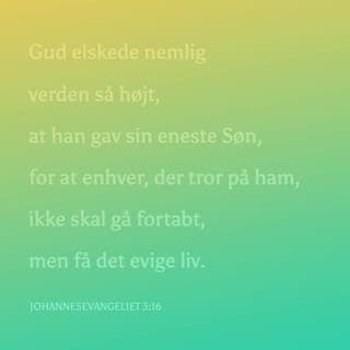 Johannesevangeliet 3:16-17 - Gud elskede nemlig verden så højt, at han gav sin eneste Søn, for at enhver, der tror på ham, ikke skal gå fortabt, men få det evige liv. Gud sendte ikke sin Søn til verden for at dømme verden, men for at verden gennem ham kunne opleve frelse.