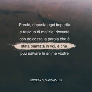 Lettera di Giacomo 1:21-25 - Perciò, deposta ogni impurità e residuo di malizia, ricevete con dolcezza la parola che è stata piantata in voi, e che può salvare le anime vostre.
Ma mettete in pratica la parola e non ascoltatela soltanto, illudendo voi stessi. Perché, se uno è ascoltatore della parola e non esecutore, è simile a un uomo che guarda la sua faccia naturale in uno specchio; e quando si è guardato se ne va, e subito dimentica com’era. Ma chi guarda attentamente nella legge perfetta, cioè nella legge della libertà, e in essa persevera, non sarà un ascoltatore smemorato, ma uno che la mette in pratica; egli sarà felice nel suo operare.