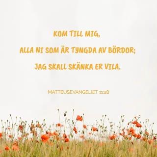 Matteusevangeliet 11:28-30 SFB15 Svenska Folkbibeln 2015