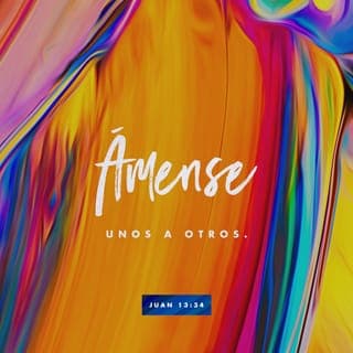 San Juan 13:34-35 - Les doy este mandamiento nuevo: Que se amen los unos a los otros. Así como yo los amo a ustedes, así deben amarse ustedes los unos a los otros. Si se aman los unos a los otros, todo el mundo se dará cuenta de que son discípulos míos.