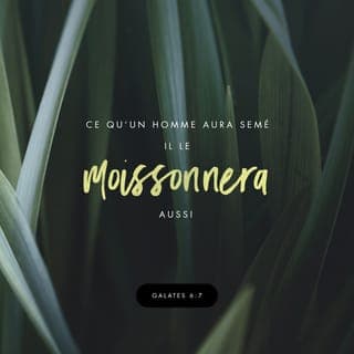 Galates 6:7 - Personne ne peut jamais faire de Dieu un imbécile. Personne ne peut jamais faire ça ! Si quelqu’un met une graine d’un certain type de plante dans le sol, cette semence va croître. Et le résultat sera le même genre de plante.