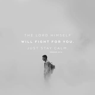 Exodus 14:13-14 - And Moses said to the people, “Fear not, stand firm, and see the salvation of the LORD, which he will work for you today. For the Egyptians whom you see today, you shall never see again. The LORD will fight for you, and you have only to be silent.”