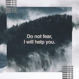 Isaiah 41:13 - I am the LORD your God.
I take hold of your right hand.
I say to you, ‘Do not be afraid.
I will help you.’