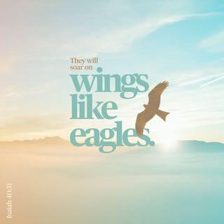 Yeshayah 40:31 - But they that wait upon HASHEM shall renew their ko'ach; they shall mount up with wings as eagles; they shall run, and not grow weary; and they shall walk, and not faint.