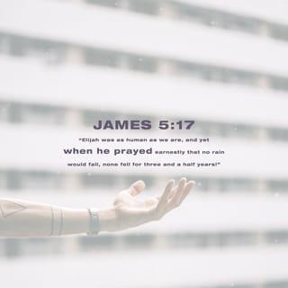 James 5:17 - Elijah was the same kind of person as we are. He prayed earnestly that there would be no rain, and no rain fell on the land for three and a half years.