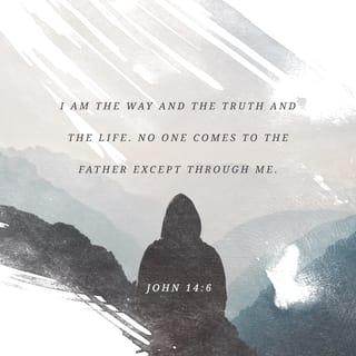 John 14:6 - Jesus answered, “I am the way, and the truth, and the life. The only way to the Father is through me.