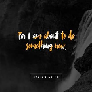 Isaiah 43:19 - Behold, I am doing a new thing;
now it springs forth, do you not perceive it?
I will make a way in the wilderness
and rivers in the desert.