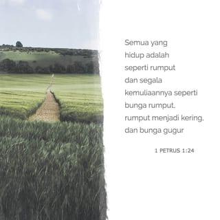 1 Petrus 1:24-25 - Sebab:
"Semua yang hidup adalah seperti rumput
dan segala kemuliaannya seperti bunga rumput,
rumput menjadi kering,
dan bunga gugur,
tetapi firman Tuhan tetap untuk selama-lamanya."
Firman inilah Injil yang diberitakan kepada kamu.