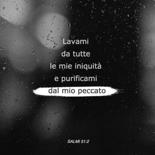 Salmi 51:1-2 - Al direttore del coro. Salmo di Davide, quando il profeta Natan venne da lui, dopo che Davide era stato da Bat-Sceba.
Abbi pietà di me, o Dio, per la tua bontà; nella tua grande misericordia cancella i miei misfatti.
Lavami da tutte le mie iniquità e purificami dal mio peccato