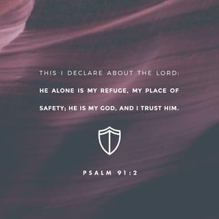 Psalms 91:2 - I will say to the Lord, “You are my place of safety and protection.
You are my God, and I trust you.”