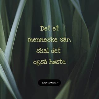 Galaterbrevet 6:6-10 - Den som får undervisning om Guds budskap, skal dele med den som underviser. Del godene med hverandre.
Pass på at dere ikke blir lurt og ført på avveie! Gud vil ikke at Hans Navn skal bli skitnet til. Det et menneske sår, det får han også høste. Dersom mennesker fokuserer på negative ting, vil de høste det som er negativt i livet. Men den som fokuserer på Guds plan og vilje og vil leve med Ånden som hjelp, skal høste det gode og få evig liv.
La oss derfor ikke bli trette av å gjøre det som er godt. For når tiden er inne, vil vi se resultatene av våre positive valg, hvis vi bare ikke mister motet. Derfor må vi benytte de anledningene vi får, til å gjøre godt mot alle, særlig mot våre kristne søsken.