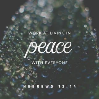 Hebrews 12:14-15 - Pursue peace with all people, and holiness, without which no one will see the Lord: looking carefully lest anyone fall short of the grace of God; lest any root of bitterness springing up cause trouble, and by this many become defiled