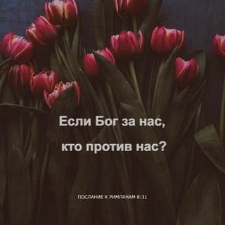 Послание к Римлянам 8:31-35 - Что убо речем к сим, аще Бог по нас, кто на ны, Иже убо своего Сына не пощаде, но за нас всех предал есть его, како убо не и с ним вся нам дарствует? Кто поемлет на избранныя Божия, Бог оправдаяй. Кто осуждаяй? Христос Иисус умерый, паче же и воскресый, иже и есть о десную Бога, иже и ходатайствует о нас. Кто ны разлучит от любве Божия, скорбь ли, или теснота, или гонение, или глад, или нагота, или беда, или мечь? якоже есть писано