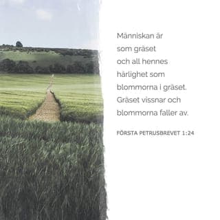 1 Petrusbrevet 1:24-25 - Ty »allt kött är såsom gräs och all dess härlighet såsom gräsets blomster; gräset torkar bort, och blomstret faller av,Ps. 102,12 f. 103, men Herrens ord förbliver evinnerligen». Och det är detta ord som har blivit förkunnat för eder såsom ett glatt budskap.Matt. 5