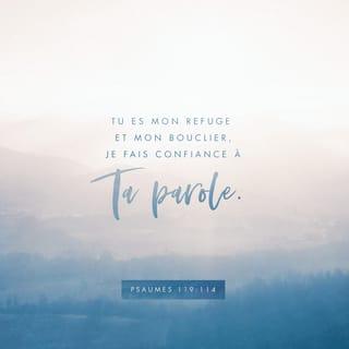 Psaumes 119:114 PDV2017