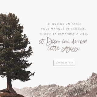 Jacques 1:4-10 - Mais il faut que votre endurance aille jusqu’au bout de ce qu’elle peut faire pour que vous parveniez à l’état d’adultes et soyez pleins de force, des hommes auxquels il ne manque rien.
Si l’un de vous manque de sagesse, qu’il la demande à Dieu qui la lui donnera, car il donne à tous généreusement et sans faire de reproche. Il faut cependant qu’il la demande avec foi, sans douter, car celui qui doute ressemble aux vagues de la mer agitées et soulevées par le vent. Qu’un tel homme ne s’imagine pas obtenir quoi que ce soit du Seigneur : son cœur est partagé, il est inconstant dans toutes ses entreprises.
Que le frère ou la sœur pauvre soit fier de ce que Dieu l’élève, et le riche de ce que Dieu l’abaisse. En effet, il passera comme la fleur des champs.