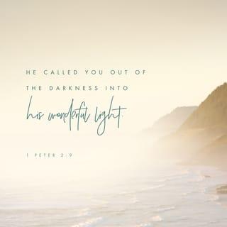 1 Peter 2:9-10 - But you are a chosen race, a royal priesthood, a holy nation, a people for his own possession, that you may proclaim the excellencies of him who called you out of darkness into his marvelous light. Once you were not a people, but now you are God’s people; once you had not received mercy, but now you have received mercy.