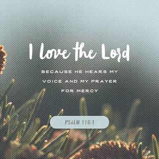 Psalm 116:1 - I love the LORD,
Because he hath heard my voice and my supplications.