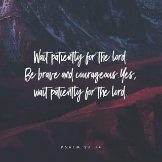 Psalms 27:14 - Wait patiently for the LORD.
Be brave and courageous.
Yes, wait patiently for the LORD.