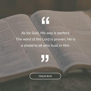 Psalms 18:30 - Your way is perfect, LORD,
and your word is correct.
You are a shield for those
who run to you for help.