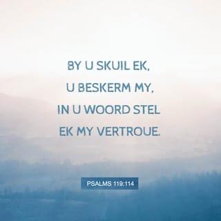 PSALMS 119:114 - U is my toevlug
en beskermer;
ek vertrou op u woord.
