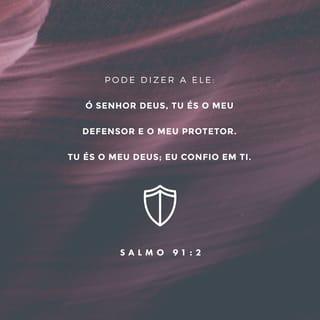 Salmos 91:1-16 - Aquele que habita no abrigo do Altíssimo
descansará à sombra do Todo-poderoso.
Direi do SENHOR:
“Tu és o meu refúgio e a minha fortaleza,
o meu Deus, em quem confio”.

Ele o livrará do laço do caçador
e da peste mortal.
Ele o cobrirá com as suas penas,
e sob as suas asas você encontrará refúgio;
a fidelidade dele será o seu escudo protetor.
Você não temerá o pavor da noite
nem a flecha que voa de dia,
nem a peste que se move sorrateira nas trevas,
nem a praga que devasta ao meio-dia.
Mil poderão cair ao seu lado
e dez mil à sua direita,
mas nada o atingirá.
Você simplesmente olhará
e verá o castigo dos ímpios.

Se você fizer do Altíssimo o seu abrigo,
do SENHOR o seu refúgio,
nenhum mal o atingirá,
desgraça alguma chegará à sua tenda.
Porque ele dará ordem aos anjos a seu respeito,
para que protejam você em todos os seus caminhos;
com as mãos eles o segurarão,
para que você não tropece em alguma pedra.
Você pisará o leão e a víbora;
pisoteará o leão forte e a serpente.

“Porque ele me ama, eu o resgatarei;
eu o protegerei, pois conhece o meu nome.
Ele clamará a mim, e eu lhe responderei;
na adversidade estarei com ele;
eu o livrarei e o cobrirei de honra.
Eu o saciarei com vida longa
e lhe mostrarei a minha salvação.”