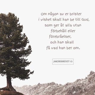 Jakobsbrevet 1:5-7-8 - Om någon av er brister i vishet skall han be till Gud, som ger åt alla utan förbehåll eller förebråelser, och han skall få vad han ber om. Men han skall be i tro, utan att tvivla. Den som tvivlar liknar en våg på havet som drivs och jagas av vinden. En sådan människa, tvehågsen och vacklande i allt hon gör, skall inte vänta sig något av Herren.