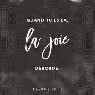 Psaumes 16:11 - Tu me feras connaître ╵le chemin de la vie :
plénitude de joie ╵en ta présence,
délices éternelles ╵auprès de toi.